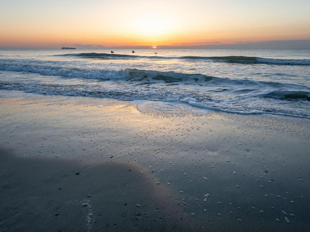 Summer Winds 528 Daire Tybee Island Dış mekan fotoğraf